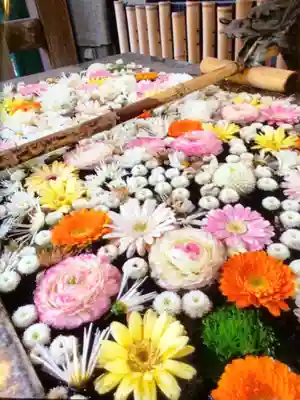 高円寺氷川神社(東京都)