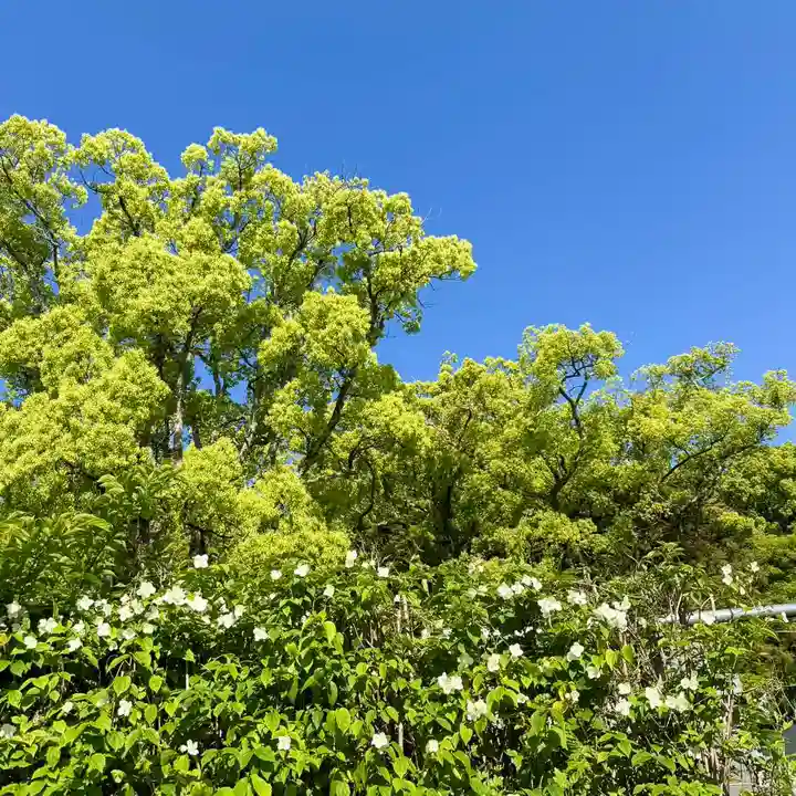 伊勢の国 四天王寺(三重県)
