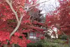 本土寺(千葉県)