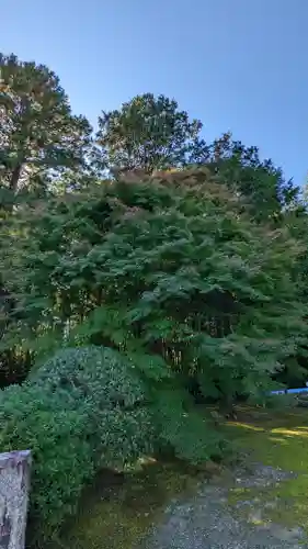 隨心院（随心院）(京都府)
