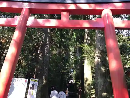 箱根神社の鳥居