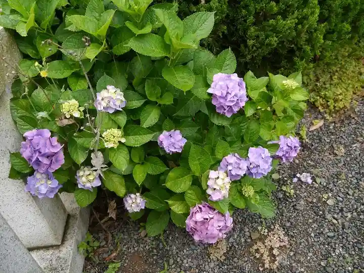 龍口明神社の自然