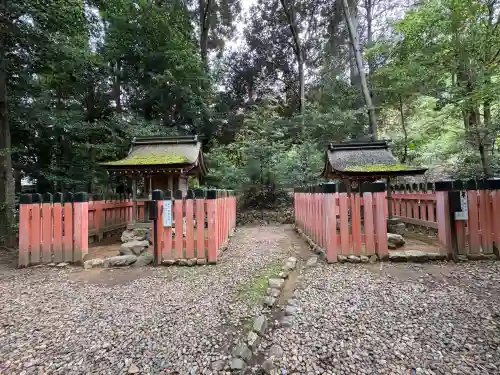 大田神社（賀茂別雷神社境外摂社）の{uncategorized: "未分類", other: "その他", undefined: "問題あり", building: "その他建物", grave: "お墓", sacred_gate: "鳥居", guardian: "狛犬", statue: "像", buddha: "仏像", history: "歴史", nature: "自然", garden: "庭園", animal: "動物", pagoda: "塔", temizu: "手水舎", mountain_gate: "山門・神門", sanctuary: "本殿・本堂", subordinate: "末社・摂社", art: "芸術", scenery: "景色", jizo: "地蔵", ema: "絵馬", goshuin: "御朱印", omikuji: "おみくじ", items: "授与品その他", amulet: "お守り", goshuincho: "御朱印帳", eats: "食事", festival: "お祭り", votive_dance: "神楽", shichigosan: "七五三参", wedding: "結婚式", experience: "体験その他", initially: "初詣", around: "周辺", anti_infection: "感染症対策"}