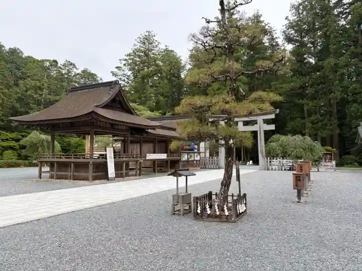 小國神社(静岡県)