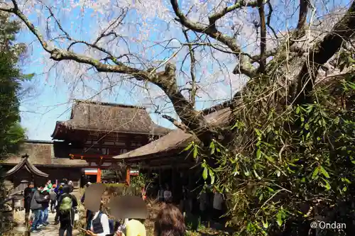 吉野水分神社（吉野町）の食事