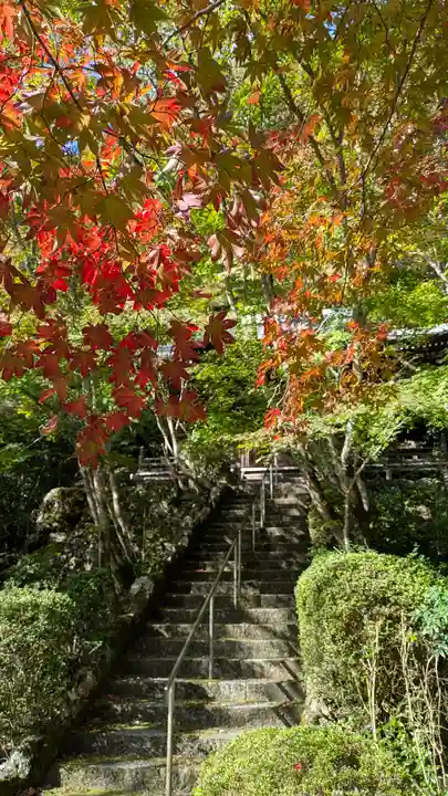 勝持寺(花の寺)(京都府)