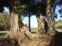 井上神社の自然