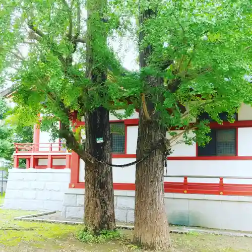 香取神社のその他建物