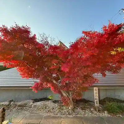 伊勢の国 四天王寺(三重県)