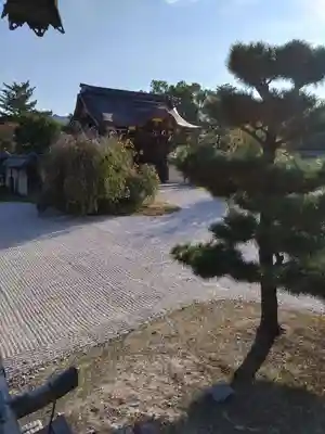 大覚寺(京都府)