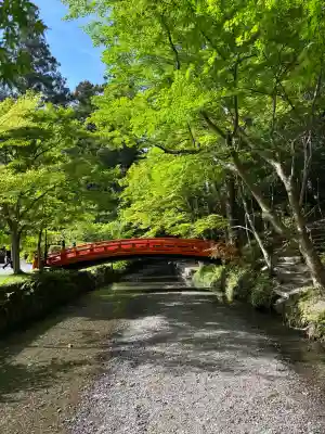 小國神社の{uncategorized: "未分類", other: "その他", undefined: "問題あり", building: "その他建物", grave: "お墓", sacred_gate: "鳥居", guardian: "狛犬", statue: "像", buddha: "仏像", history: "歴史", nature: "自然", garden: "庭園", animal: "動物", pagoda: "塔", temizu: "手水舎", mountain_gate: "山門・神門", sanctuary: "本殿・本堂", subordinate: "末社・摂社", art: "芸術", scenery: "景色", jizo: "地蔵", ema: "絵馬", goshuin: "御朱印", omikuji: "おみくじ", items: "授与品その他", amulet: "お守り", goshuincho: "御朱印帳", eats: "食事", festival: "お祭り", votive_dance: "神楽", shichigosan: "七五三参", wedding: "結婚式", experience: "体験その他", initially: "初詣", around: "周辺", anti_infection: "感染症対策"}