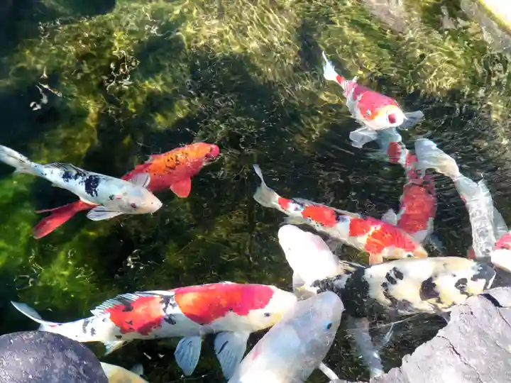 甚行寺(神奈川県)