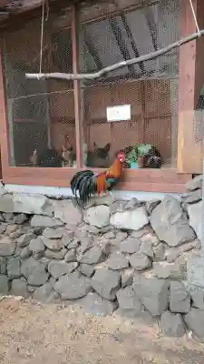 大甕神社の{uncategorized: "未分類", other: "その他", undefined: "問題あり", building: "その他建物", grave: "お墓", sacred_gate: "鳥居", guardian: "狛犬", statue: "像", buddha: "仏像", history: "歴史", nature: "自然", garden: "庭園", animal: "動物", pagoda: "塔", temizu: "手水舎", mountain_gate: "山門・神門", sanctuary: "本殿・本堂", subordinate: "末社・摂社", art: "芸術", scenery: "景色", jizo: "地蔵", ema: "絵馬", goshuin: "御朱印", omikuji: "おみくじ", items: "授与品その他", amulet: "お守り", goshuincho: "御朱印帳", eats: "食事", festival: "お祭り", votive_dance: "神楽", shichigosan: "七五三参", wedding: "結婚式", experience: "体験その他", initially: "初詣", around: "周辺", anti_infection: "感染症対策"}