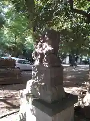 小金井神社の狛犬