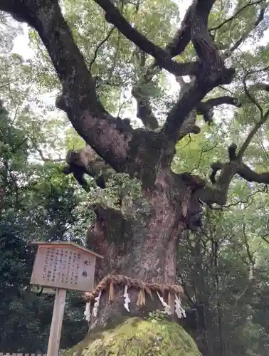 熱田神宮(愛知県)