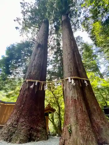 丹生川上神社（中社）(奈良県)