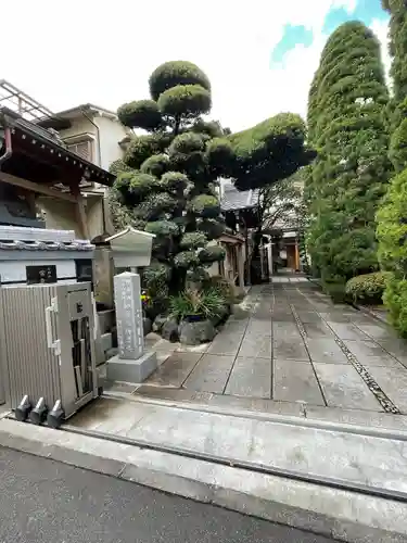 常泉院(東京都)