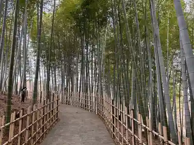 高徳院(愛知県)