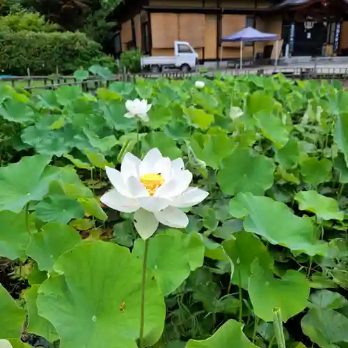 大安禅寺(福井県)