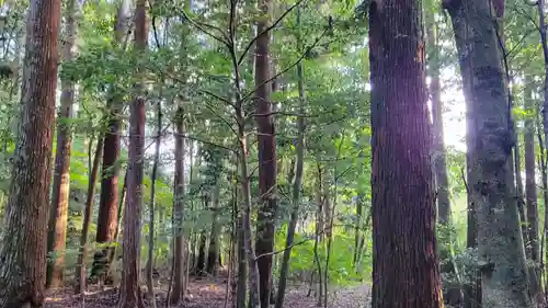 瀧原宮(皇大神宮別宮)の自然