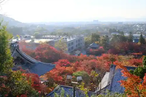 禅林寺（永観堂）の景色