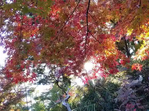 足羽神社(福井県)