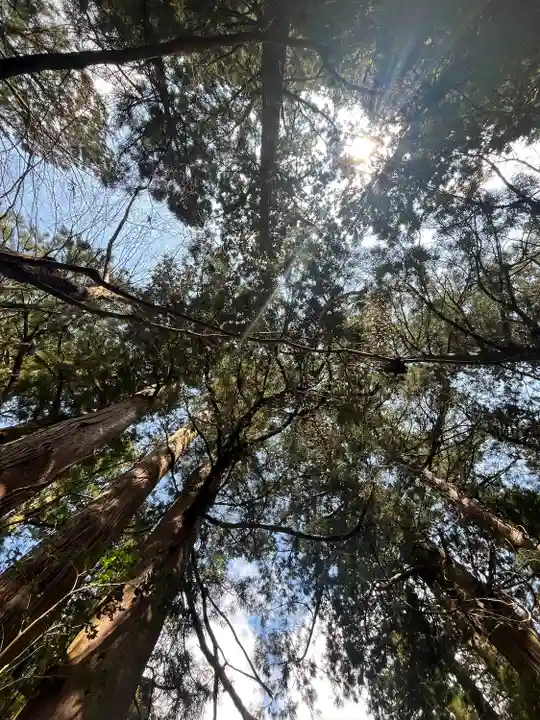 花園神社(茨城県)