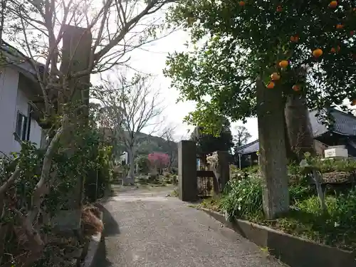 円超寺（本多あっちゃん寺）のその他建物