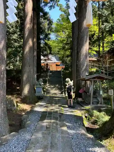 須山浅間神社(静岡県)