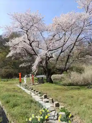 宇賀神さま(福島県)
