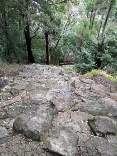 神倉神社（熊野速玉大社摂社）の{uncategorized: "未分類", other: "その他", undefined: "問題あり", building: "その他建物", grave: "お墓", sacred_gate: "鳥居", guardian: "狛犬", statue: "像", buddha: "仏像", history: "歴史", nature: "自然", garden: "庭園", animal: "動物", pagoda: "塔", temizu: "手水舎", mountain_gate: "山門・神門", sanctuary: "本殿・本堂", subordinate: "末社・摂社", art: "芸術", scenery: "景色", jizo: "地蔵", ema: "絵馬", goshuin: "御朱印", omikuji: "おみくじ", items: "授与品その他", amulet: "お守り", goshuincho: "御朱印帳", eats: "食事", festival: "お祭り", votive_dance: "神楽", shichigosan: "七五三参", wedding: "結婚式", experience: "体験その他", initially: "初詣", around: "周辺", anti_infection: "感染症対策"}