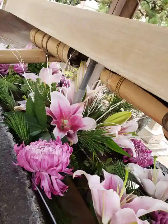 鳩森八幡神社(東京都)