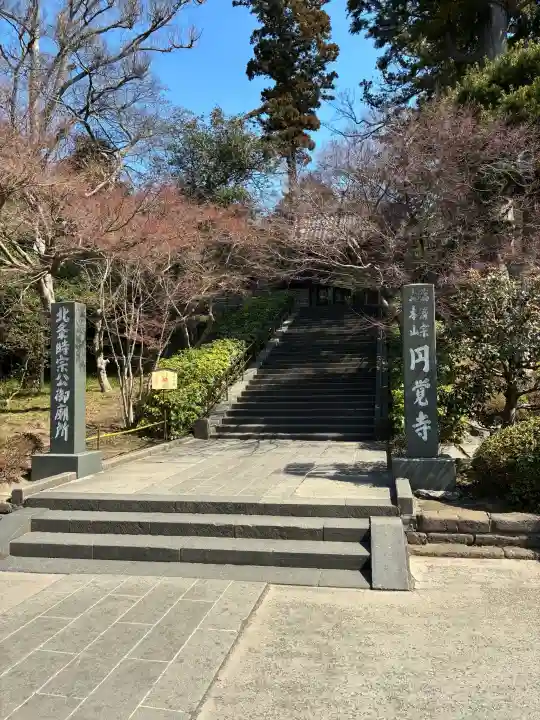 円覚寺の{uncategorized: "未分類", other: "その他", undefined: "問題あり", building: "その他建物", grave: "お墓", sacred_gate: "鳥居", guardian: "狛犬", statue: "像", buddha: "仏像", history: "歴史", nature: "自然", garden: "庭園", animal: "動物", pagoda: "塔", temizu: "手水舎", mountain_gate: "山門・神門", sanctuary: "本殿・本堂", subordinate: "末社・摂社", art: "芸術", scenery: "景色", jizo: "地蔵", ema: "絵馬", goshuin: "御朱印", omikuji: "おみくじ", items: "授与品その他", amulet: "お守り", goshuincho: "御朱印帳", eats: "食事", festival: "お祭り", votive_dance: "神楽", shichigosan: "七五三参", wedding: "結婚式", experience: "体験その他", initially: "初詣", around: "周辺", anti_infection: "感染症対策"}