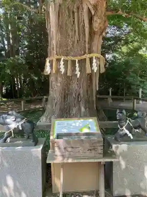 水戸八幡宮(茨城県)
