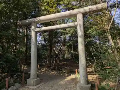 櫻木神社(千葉県)