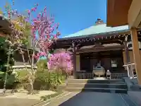 清照寺の{uncategorized: "未分類", other: "その他", undefined: "問題あり", building: "その他建物", grave: "お墓", sacred_gate: "鳥居", guardian: "狛犬", statue: "像", buddha: "仏像", history: "歴史", nature: "自然", garden: "庭園", animal: "動物", pagoda: "塔", temizu: "手水舎", mountain_gate: "山門・神門", sanctuary: "本殿・本堂", subordinate: "末社・摂社", art: "芸術", scenery: "景色", jizo: "地蔵", ema: "絵馬", goshuin: "御朱印", omikuji: "おみくじ", items: "授与品その他", amulet: "お守り", goshuincho: "御朱印帳", eats: "食事", festival: "お祭り", votive_dance: "神楽", shichigosan: "七五三参", wedding: "結婚式", experience: "体験その他", initially: "初詣", around: "周辺", anti_infection: "感染症対策"}