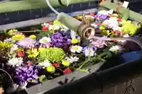 石神井氷川神社(東京都)