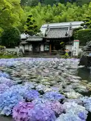 久安寺(大阪府)