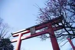 亀戸天神社の鳥居