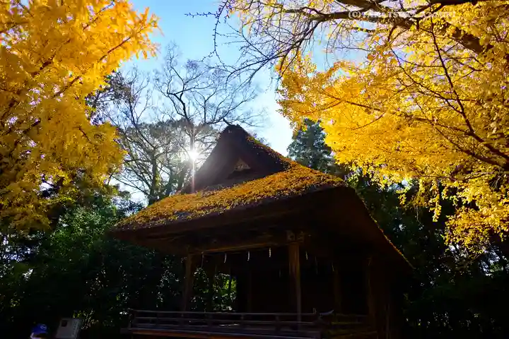 玉敷神社(埼玉県)