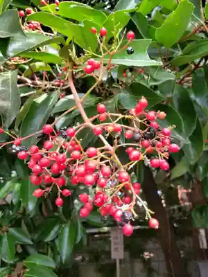 慈宏寺(東京都)