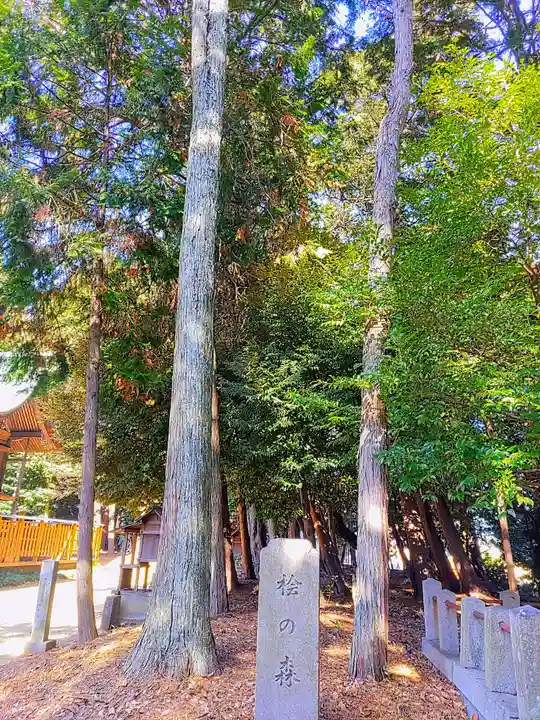 大岡白山神社の自然