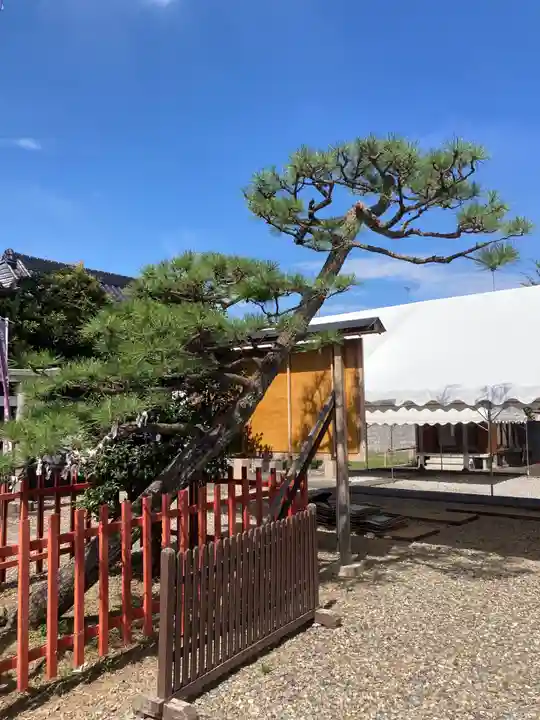 幸宮神社(埼玉県)