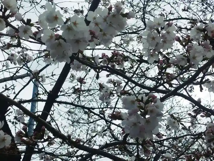市軸稲荷神社(大阪府)