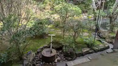 龍安寺の手水舎