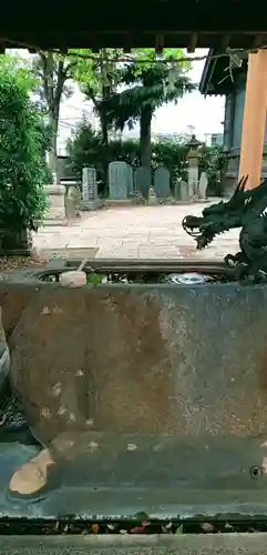 寒川神社の手水舎