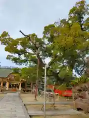 龍田神社(奈良県)