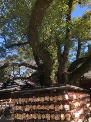 熱田神宮(愛知県)