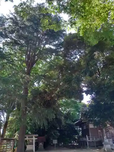 初富稲荷神社のその他建物