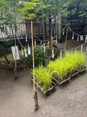 氷川女體神社(埼玉県)